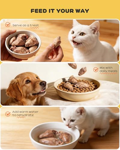 Image of Freeze Dried Chicken Hearts for Cats & Dogs, 3.54oz (100g), Raw High Protein Cat & Dog Treats, Single Ingredient Organ Meat, Grain Free Healthy Pet Snacks, Training Treats & Food Topper, No Additives