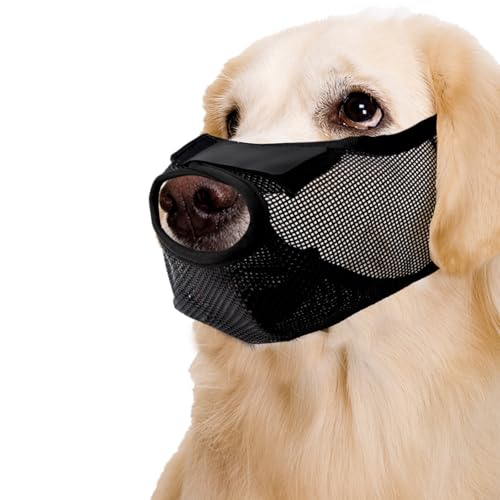 Leerburg's Lightweight Conditioning Dog Training Muzzle with Forehead Strap, 3-Strap Design, Safety Loop, Treat Reward Flap, Black (6-2.75
