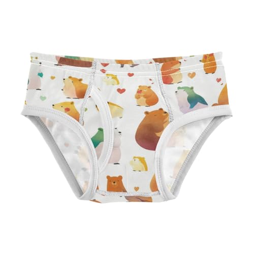 Celebrate Holiday Canada Day Beavers Elements Toddler Boys' Pure Cotton Kids Underwear Breathable Children Panties