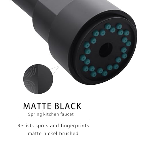 Image of AIMADI Black Kitchen Faucet with 2 Function Sprayer,Commercial Stainless Steel Single Handle Single Hole Spring Matte Black Kitchen Faucet