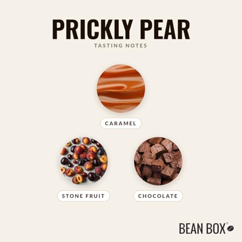 Prickly Pear - Café en Grano Tostado - 12 oz miniatura 3