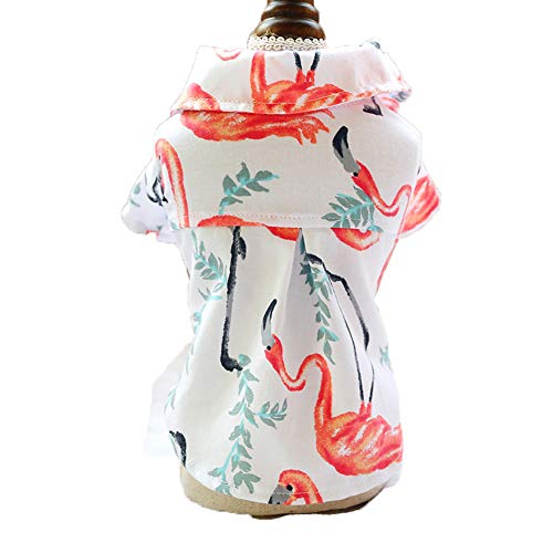 KJOET  AnVc ybg Ăۂ  hbOEGA ̕ Vc   ^ ^  An  u₩ t~S g{ o p[J[ (M,t~S)