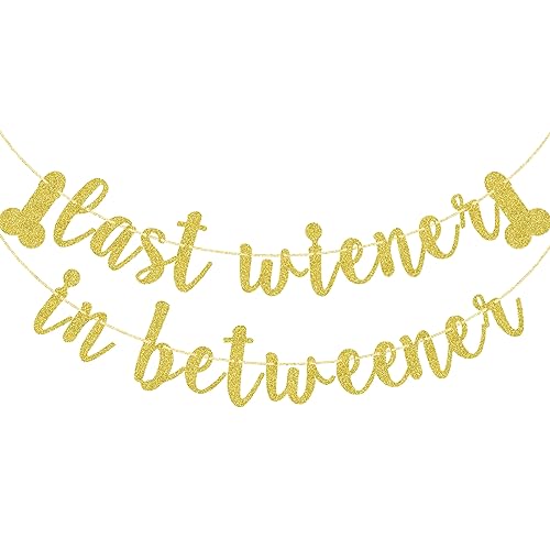 Funny Bachelorette Banner Pre-strung Gold Glitter