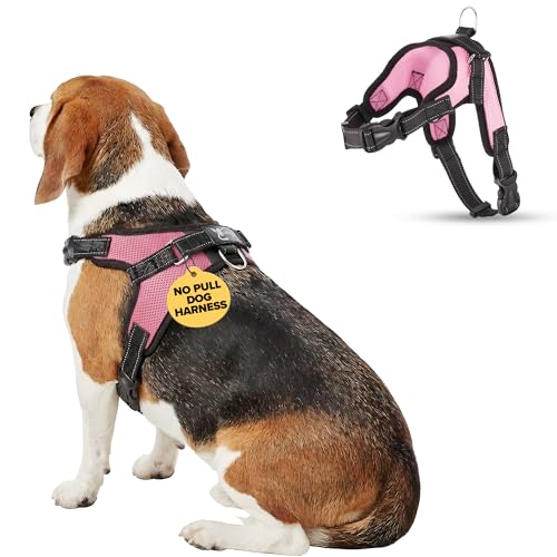 Copatchy No Pull Reflective Adjustable Dog Harness With Handle- Comfortable Soft All Weather Mesh, Easy On Puppy Harness For Small Medium and Large Dogs (Pink) Medium