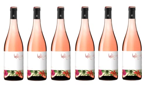 6x 0,75l - Valdecuevas - Rosé - Rueda D.O. - Spanien - Rosé-Wein trocken Cover