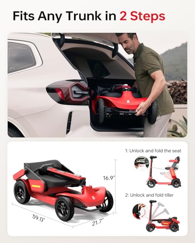 Electric Folding Utility Scooter