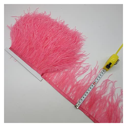 Ruban de plumes d'autruche colorées galon frangé de 10-15 cm couture artisanat
