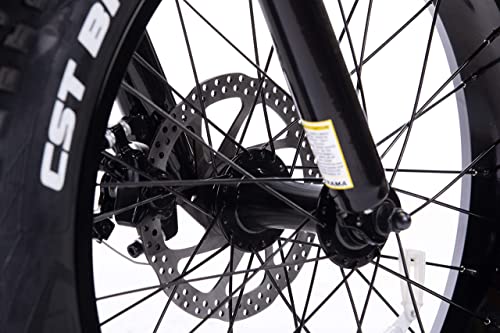 Sohoo 48V750W16Ah 26 X4.0 Fat Tire Electric Step-Over Beach Cruiser Adult Snow Ebike (White), X-Large, (S132-Black) #TOP4