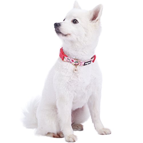 Blueberry Pet Spring Scent Inspired Garden Balsam Adjustable Dog Collar In Pink, Medium, Neck 14.5"-20" #TOP19