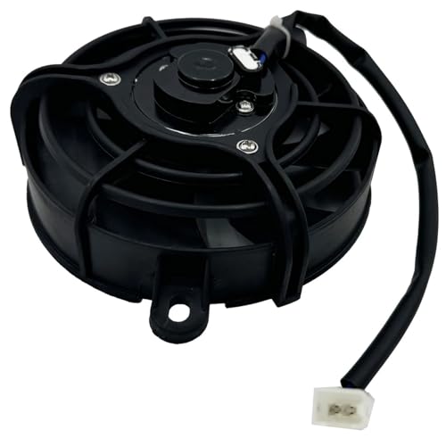 Extractor térmico de alta capacidad para Quad BS200s-7 y BS250s-11 4