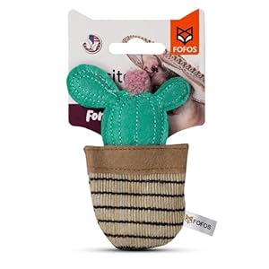 Barkbutler x Fofos Cat Toys- Blue Cactus Interactive Cat Toy, Blue | US Grade Catnip Inside | for Kittens Above 6 Months + Older Cats |Soft Oxford Fabric | Durable Pet Toy | Chew, Swat, Nip, Play