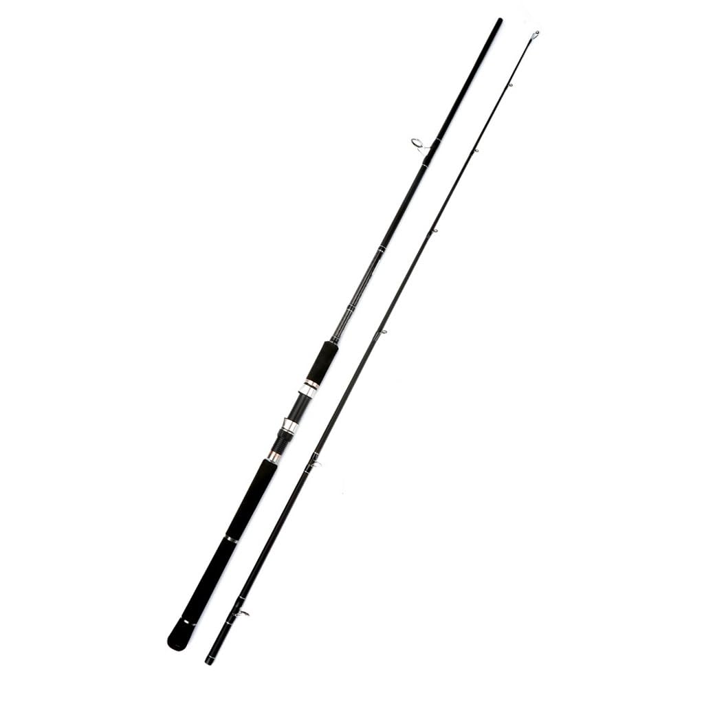 Canne à pêche shore casting en carbone super dur Argento de 2.4m pour lancer lointain en mer