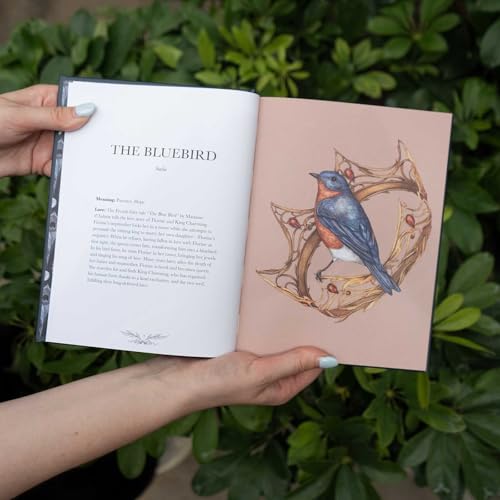 Ornithography: An Illustrated Guide to Bird Lore & Symbolism: Volume 2 10