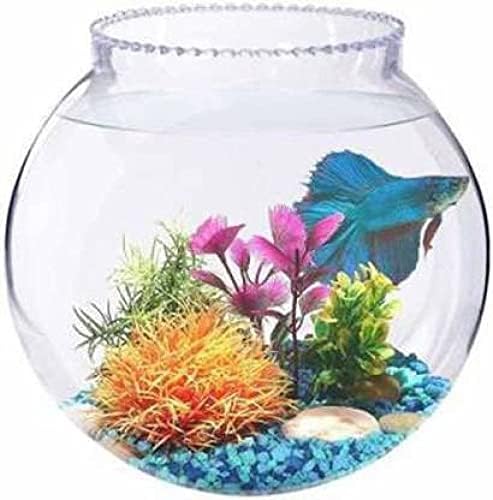Round Crystal Clear Transparent Zig Zag Neck Bowl Aquarium,Fish Bowl, Glass Vase for Home/Office Decoration(12 inches) (12 INCH Bowl Glass) (B0CWVFK13J) Amazon Price History, Amazon Price Tracker
