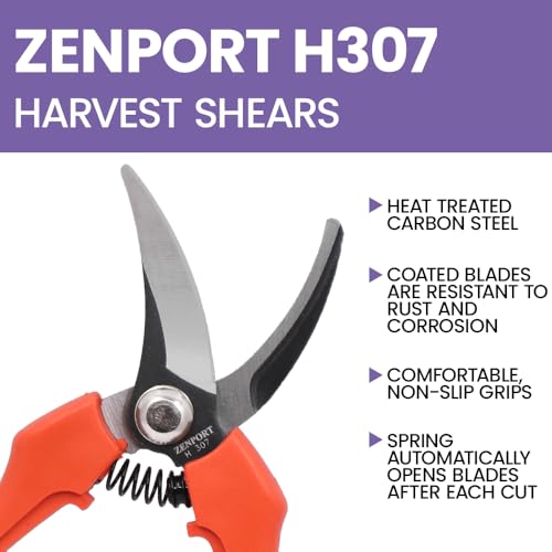 Zenport H307-12PK Tijeras de Cosecha, Naranja, Pack de 12 miniatura 4