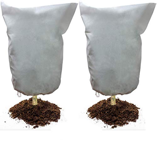 COITEK 2 Fundas para Escarcha de Plantas, 80 x 100 cm, protección para Plantas de Invierno, Forro Polar no Tejido, Manta cálida para Proteger Plantas de árboles frutales