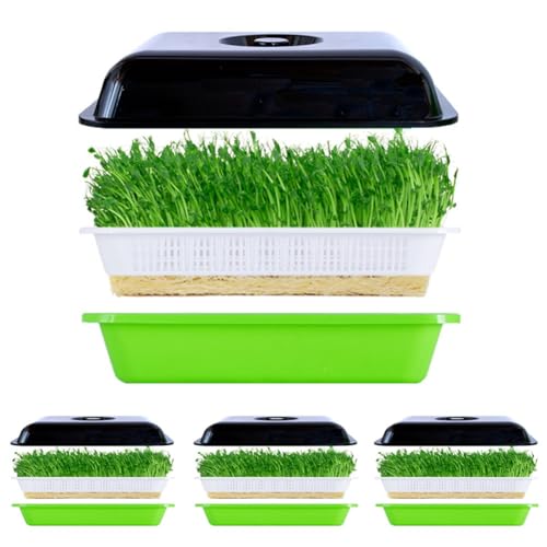hoppipola set di 4 vassoi per germinazione di grande capacità, vassoio riutilizzabile in plastica con coperchio per coltivare fagioli verdi, senape, quinoa