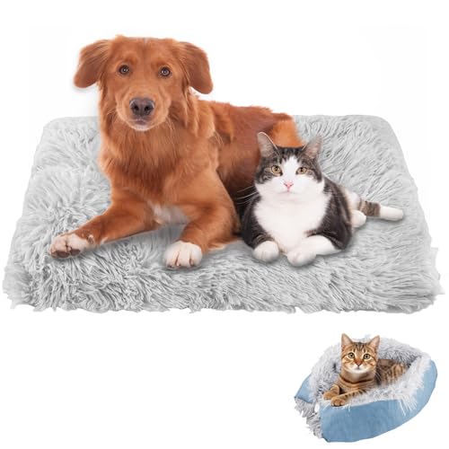 50 x 60 cm Cama para gatos mullida, manta 2 en 1 para gatos, lavable, cojín para gatos, cama para perros, sofá para gatos, cama para gatos y perros pequeños (verde)