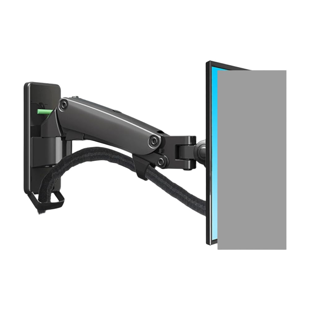 Disponibilità di supporto(Black F120 Single Arm (2-7KG))