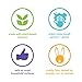 Method All-Purpose Cleaner Spray, French Lavender, Plant-Based and Biodegradable Formula Perfect for Most Counters, Tiles and More, 28 Fl Oz, (Pack of 8)