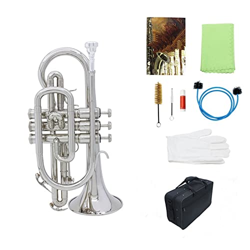 gybgS҃Vo[vtFbViBbtbgRlbg^JyL[P[X܃N[jONXuVgybgZbg