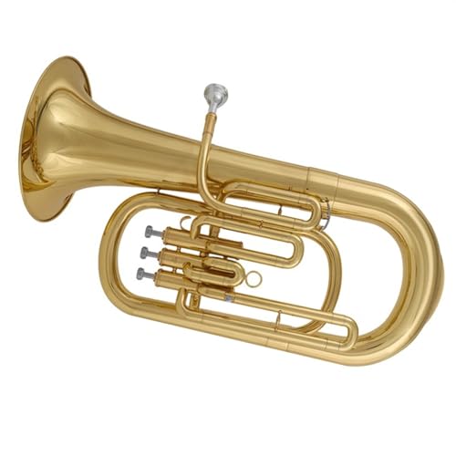 E-tbgAgz[^JhS[fX[z[vtFbVityƃ}EXs[X