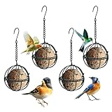 4 Pcs Balls Suet Feeders Metal Hanging Birds Feeder with Hooks for Outside Hanging Fat Ball Bird Feeders Outdoor Garden Wild Birds