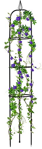 Sorbus Round Obelisk Garden Trellis for Climbing Plants, Vines, Roses, Tomatoes, and more, Decorative Vertical Gardening, Stands Over 6 Feet Tall