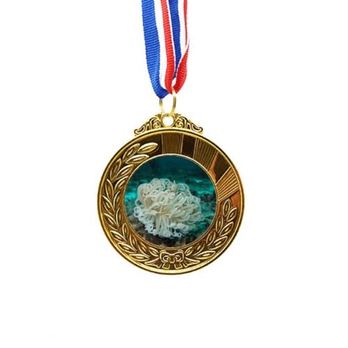 Medalla medusa verde océano de primer puesto Science Nature para regalo de graduación
