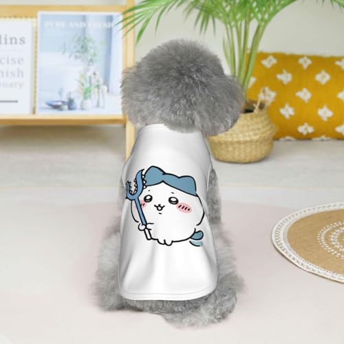 ̕  n` ^NgbvTVc ybg ybgEFA tĕ hbOEFA  킢 y ʋC Lk EȒP Ă~ X|[c ^ o|p U LOBe v[g