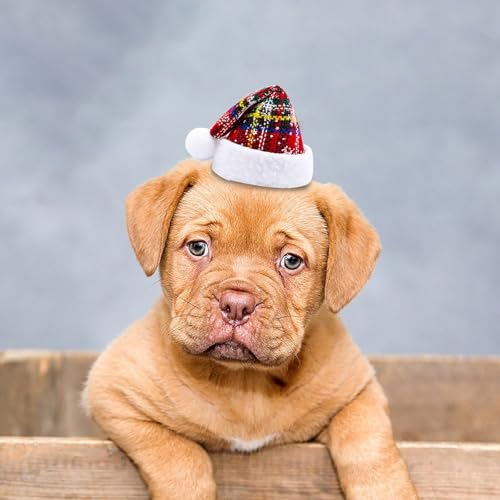 Poo4kark Eleganter Geburtstags Haarschmuck mit Spitzer Verzierung Perlen roter Glitzer verstellbare Kopfbedeckung für Haustiere als perfekte Party-Ausstattung (A, 20x5cm)