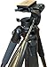 Oberwerk 3000 Tall Tripod - Sturdy Binocular & Camera Tripod Stand with Quick Release Head & 2 Versatile Quick-Release Plates | Aluminum, Portable, Extendable Tripod | Extends from 33