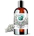 Argan oil 16 oz 100% Pure Moroccan Cold-pressed Organic Unrefined - Bella Terra Oils