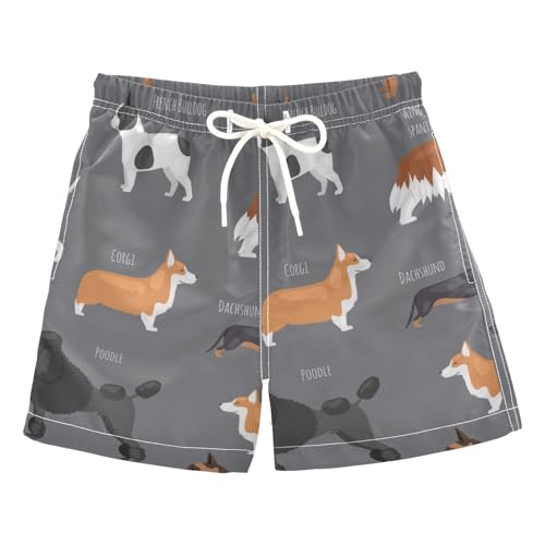 Mnsruu Traje de baño para niños, razas de perros, traje de baño para niños, 2T - 16 años, Vector de razas de perros, 5-6 Años