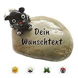 Andys Steinwelt