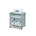 Safco Impromptu Mobile Print Stand 1857GR, Gray, 200 lbs. Capacity, Contemporary Design, Swivel Wheels