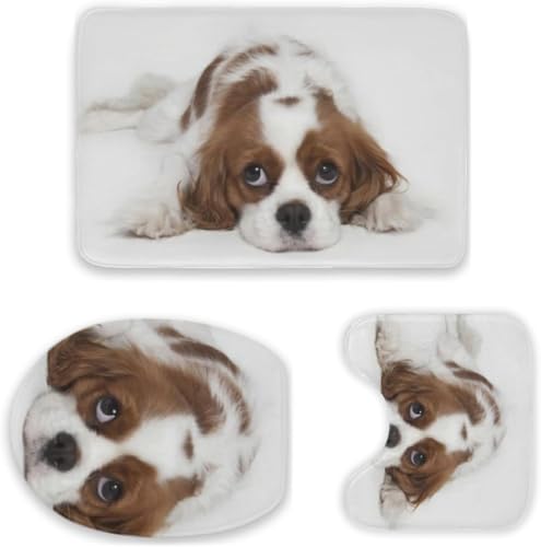 gC}bg 3_ZbgɂȂĂLoA XpjG Aj t^Jo[ oX}bg z ~߉H R hL @Ő􂦂 ӂӂ 