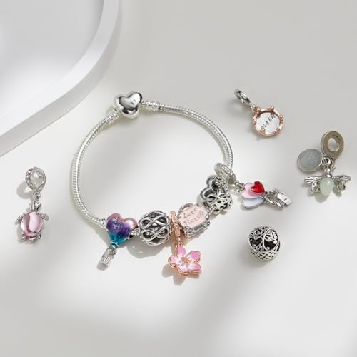 Karakara 10 Pack Silver Bead Charms Compatible with Pandora-Style Bracelets, Large Hole European Beads for Women, DIY Jewelry Accessories, Spacer Beads Individually Packaged4