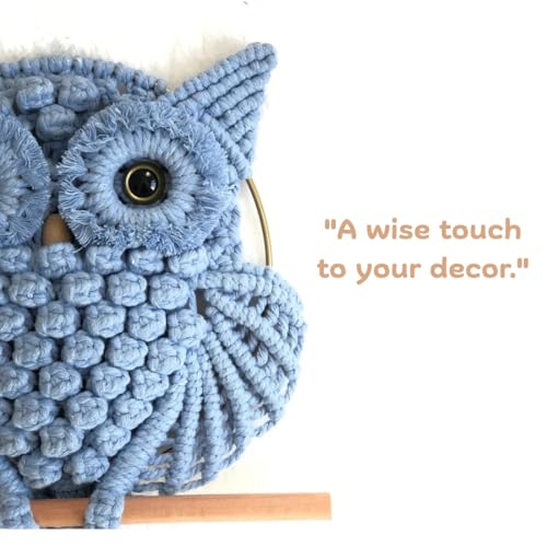 Image of tms Bohemian Owl Macrame Wall Hanging - 12 x 23 Inch - Handcrafted Boho Home Decor with Natural Elements - Boho Chic Accent for Home, Office, or Living Room (ICE BLUE)