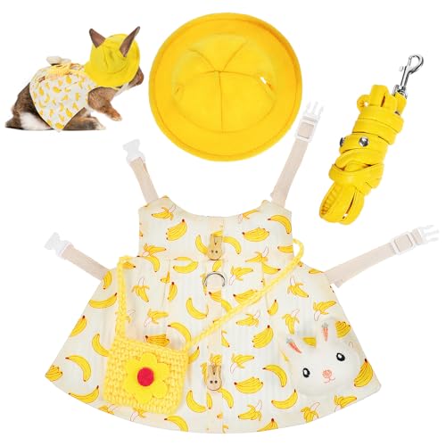 UTHCLO poiin[lXxXg e[h ~jXq obO u[`t nX^[ ETM tFbg U p[e