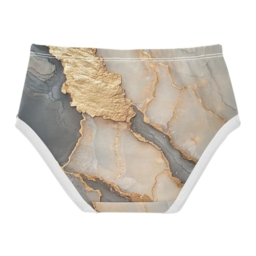 Cotton Briefs Underwear Moisture Wicking Breathable Underwear for Young Girls in Sizes 2T-8Y2