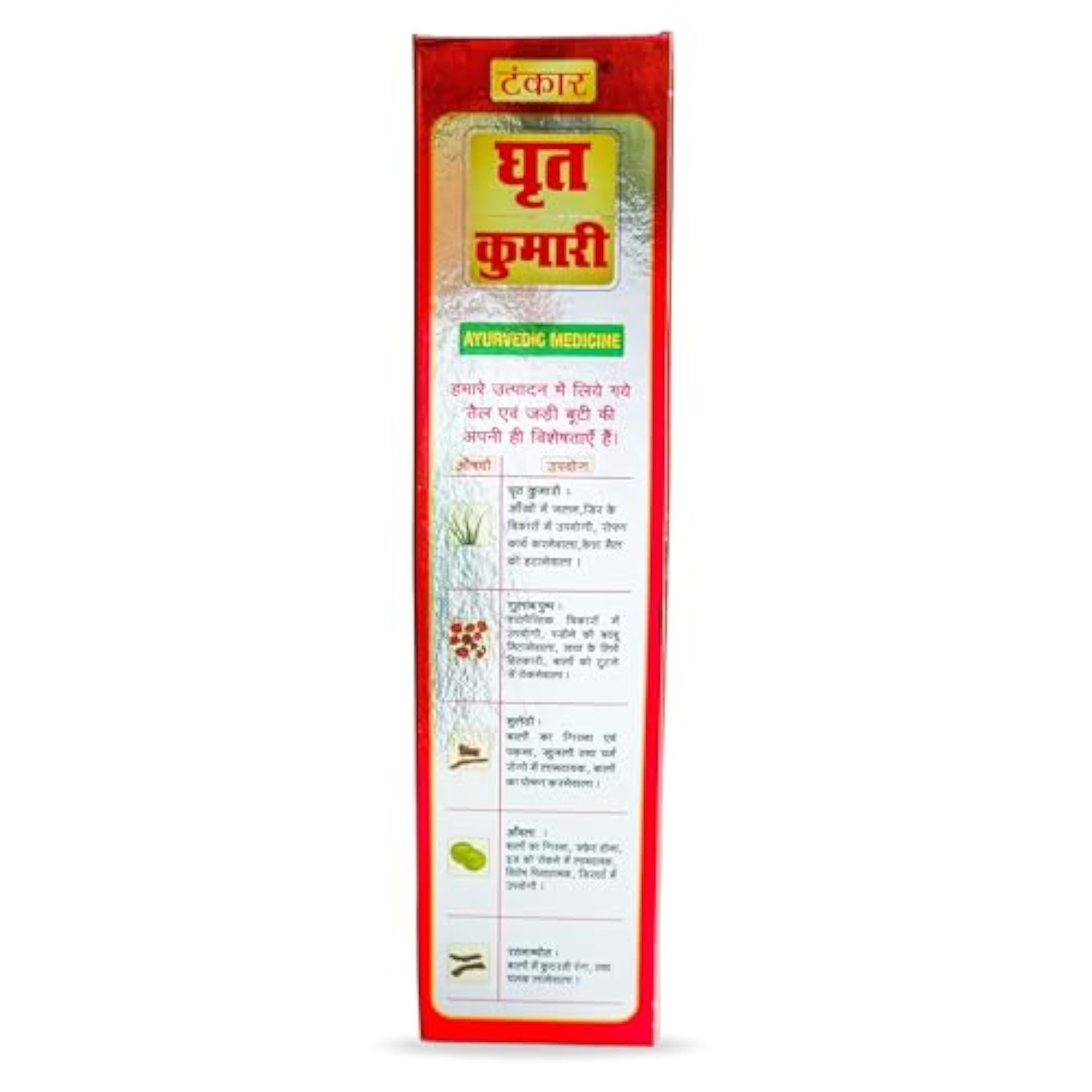 Ayurvedic Hair Oil for Growth & Dandruff Control, Pack of 2