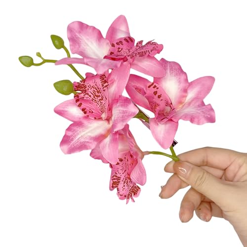 lHXC[gt[wANbv ̎qp qp ob^ t[ VrWE nhCh wAs u[wAs