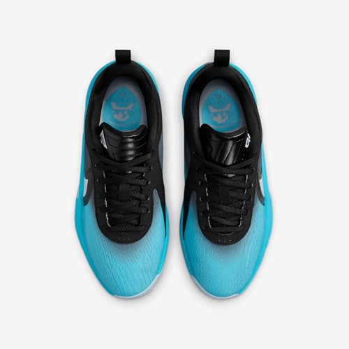 Nike Giannis Freak 6 "Christmas Big Kids' Basketball Shoes (HV9532-001, Black/Blue Tint/Baltic Blue)4