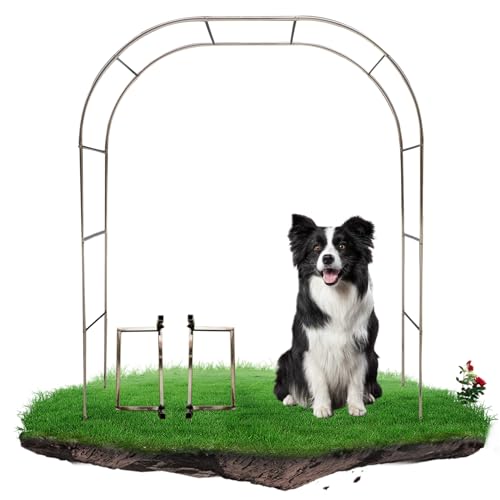 Arche de Jardin Autoportante Anti-Rouille avec Base Stable En Inox