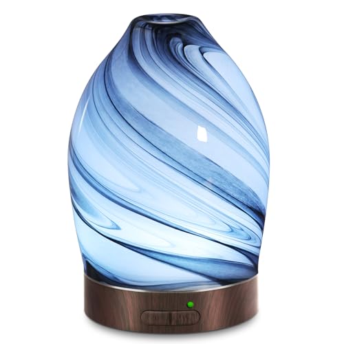 EQUSUPRO 150ml Art Glass Diffuser