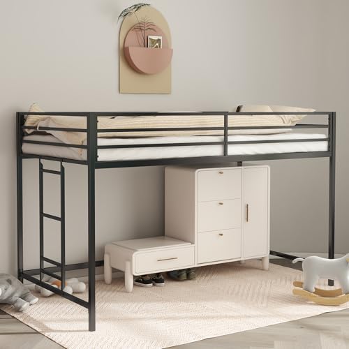 Twin Size Low Loft Bed for Kids,Metal Loft Bed Frame