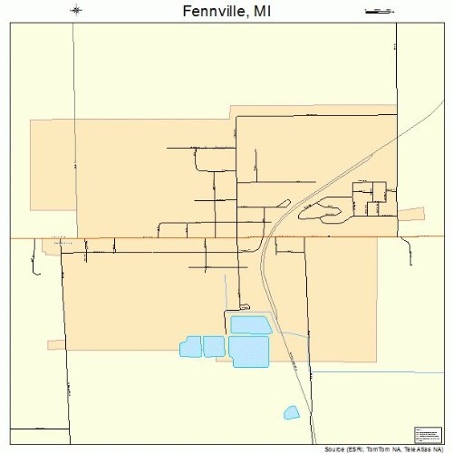 Large Street & Road Map of Fennville, Michigan MI Printed poster size