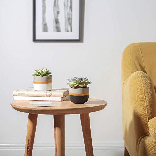 Mkouo 8cm Cement Plant Pots Indoor Succulent Planter Modern Concrete Cactus Flower Pot Small Clay Indoor Herb Window Box Container for Home and Office Decor, Set of 4(Plant Not Included) - Cosy Home Interiors Mkouo 8cm Cement Plant Pots Indoor Succulent Planter Modern Concrete Cactus Flower Pot Small Clay Indoor Herb Window Box Container for Home and Office Decor, Set of 4(Plant Not Included) - Image 3
