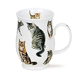 SU_Cats-TA Tasse en porcelaine anglaise Motif chats tigrs Staffordshire 0,31 l